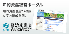 http://www.meti.go.jp/policy/intellectual_assets/index.html